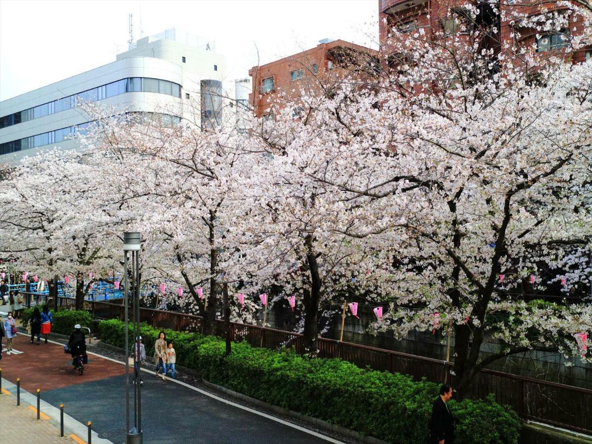 Coto Tokyo Shibuya 6 Apartman Kültér fotó