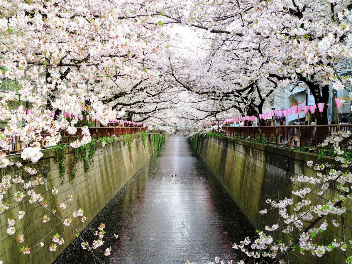 Coto Tokyo Shibuya 6 Apartman Kültér fotó